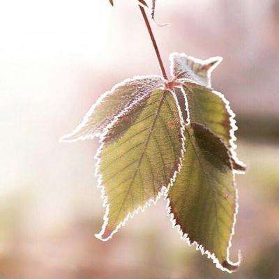 上下分的捕鱼app手机app下载